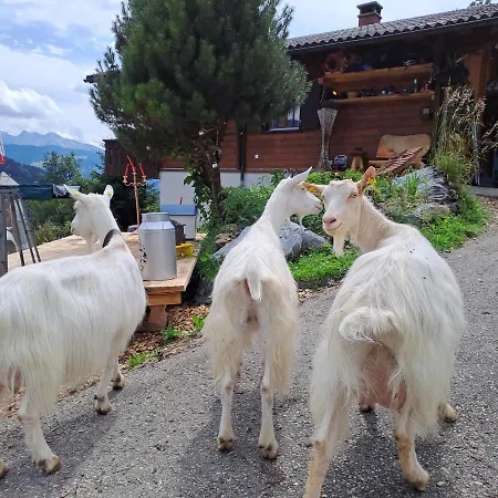 Ib Saentis Chalet Chnorz Rooms Nesslau