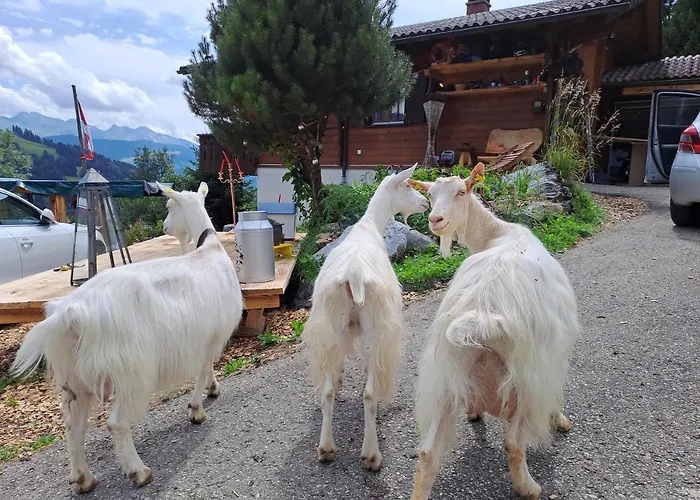 Ib Saentis Chalet Chnorz Rooms Nesslau