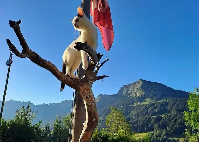 Ib Saentis Chalet Chnorz Rooms